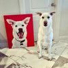 Custom Pet Portrait Canvas