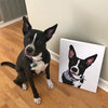 Custom Pet Portrait Canvas