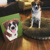Custom Pet Portrait Canvas