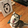 Custom Pet Portrait Canvas