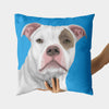 Custom Pet Pillow